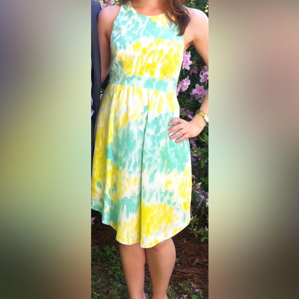 Annie Griffin Watercolor Dress